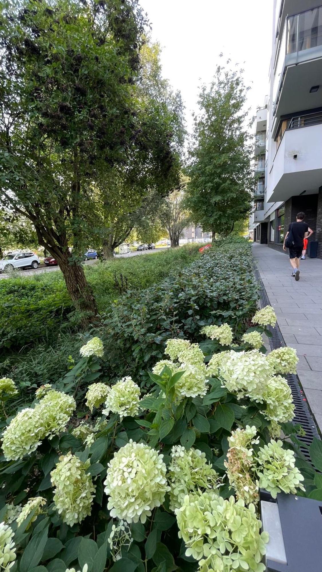 Apartamenty Warszawa Centrum Wlodarzewska 30 Экстерьер фото
